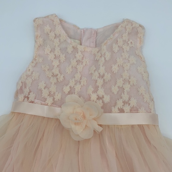 Blink Blank Elegant Sleeveless Lace Dress Flower Girls - Picture 5 of 13